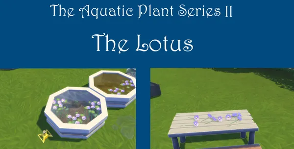 Lotus Harvestable
